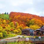 Aomori Private Customizable Full Day Tour - The Experience in Detail: What to Expect from the Tour