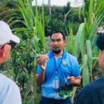 Aonang Cultural Exploration on Temple, Market and Thai Visit - The Sum Up