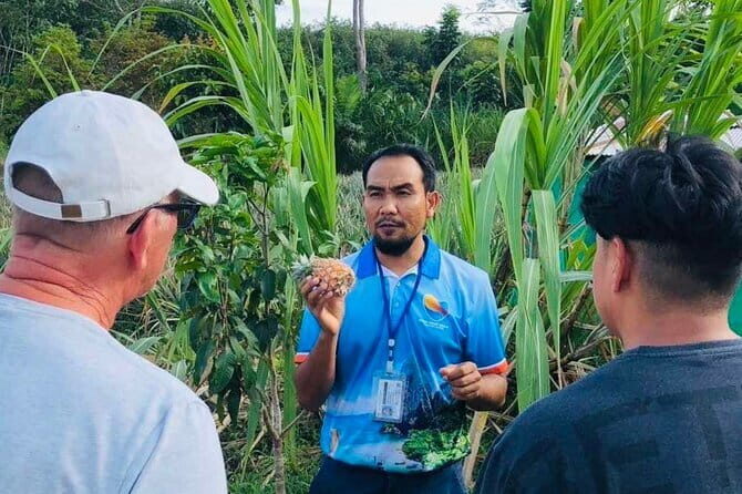 Aonang Cultural Exploration on Temple, Market and Thai Visit - The Sum Up