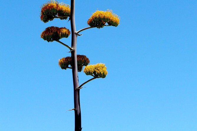 Apache Trail and Dolly Steamboat Van Tour - The Practicalities and Logistics