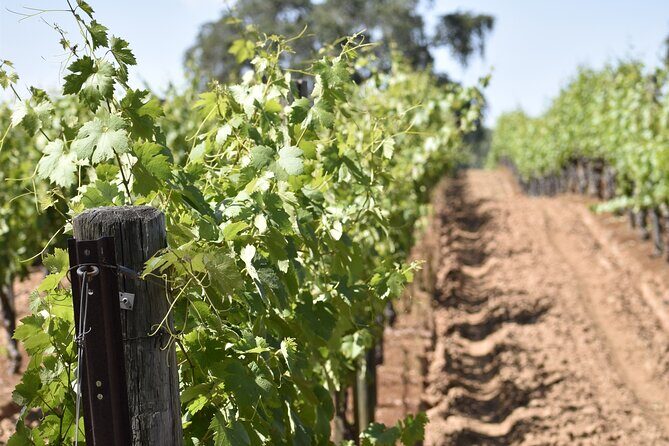 Apple Hill Wine Tasting Tours And Placerville wine tasting tours - Booking and Practical Details