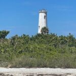 Aqua Sol Adventures-4.5 hour Private Snorkeling,Dolphin,shelling - More Details on the Itinerary and Experience