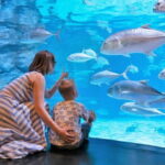 Aquaria Phuket and 4D Trickeye Museum Experience Ticket - Exploring the Aquarium: A Closer Look