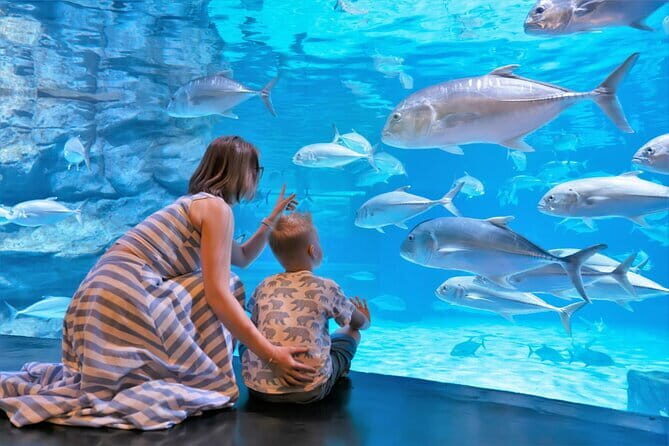 Aquaria Phuket and 4D Trickeye Museum Experience Ticket - Exploring the Aquarium: A Closer Look