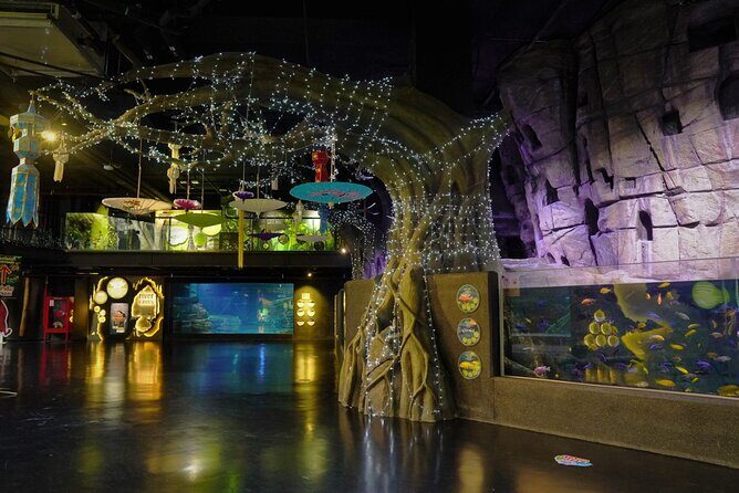 Aquarium Phuket and AR Trick Eye Museum Combo Tickets - A Closer Look at What to Expect