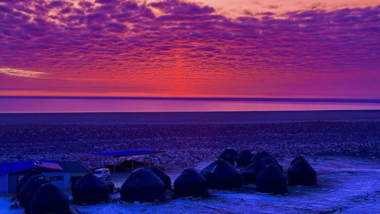 Aral Sea Tour from Nukus 1 night / 2 days - Who Is This Tour Best For?