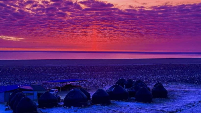 Aral Sea Tour from Nukus 1 night / 2 days - Who Is This Tour Best For?