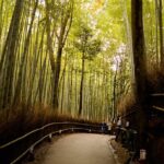 Arashiyama Bamboo Forest E-Biking Tour - Who Will Love This Tour?