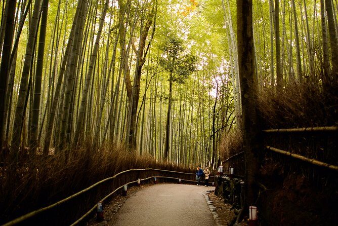 Arashiyama Bamboo Forest E-Biking Tour - Who Will Love This Tour?