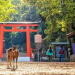 Arashiyama & Nara Highlights: One-Day Private Tour Adventure - Who Should Consider This Tour?