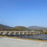 Arashiyama/Tenryu-ji Temple Guided Tour - Practical Details and Comfort