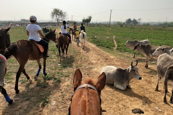Aravali Trail Experience( Jungle Safari Forest area)- Horseback Riding - Who Should Consider This Tour?