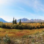 Arctic Day: Kluane National Park Tour | full day - What’s Included and What’s Not
