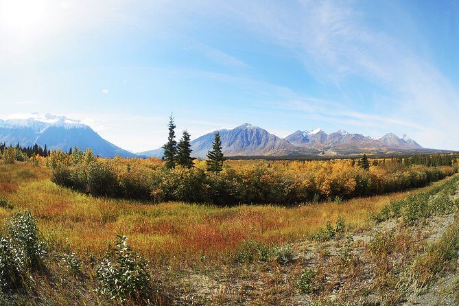 Arctic Day: Kluane National Park Tour | full day - What’s Included and What’s Not