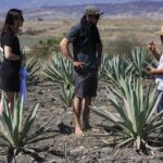 Artisanal Mezcal distillery in an authentic Zapotec village - Exploring the Full-Day Oaxaca Mezcal Tour in Detail