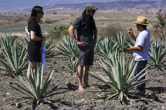 Artisanal Mezcal distillery in an authentic Zapotec village - Exploring the Full-Day Oaxaca Mezcal Tour in Detail