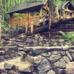 Asahiyama Zoo, Blue Pond, Shirahige Falls, Ningle Terrace (from Sapporo) - Practical Details and What You Should Know