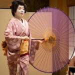 Asakusa: Geisha Performance and Tea House Experience - A Close Look at the Asakusa Geisha and Tea House Experience