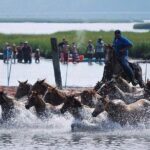 Assateague Island Kayak Tours and Ponies Experience - What We Love About the Tour