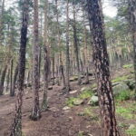 Astana: Burabay Oasis National Park: Private All Inclusive Tour - Why This Tour Is Worth It