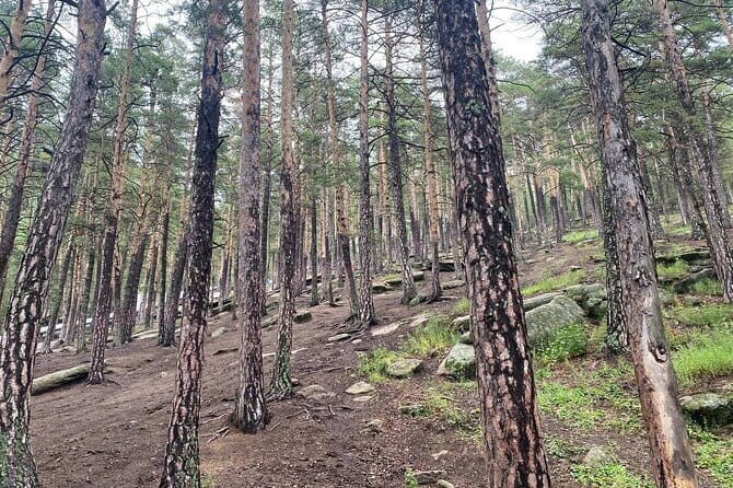 Astana: Burabay Oasis National Park: Private All Inclusive Tour - Why This Tour Is Worth It