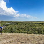 Astana Unbridled: Seven Days of Culture and Adventure - Exploring Nur-Sultan and the Kazakh Steppe: A Deep Dive