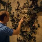 At Odds With The Gods 90 Minute Escape Room - An In-Depth Look at the Experience