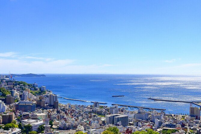 Atami Half-Day Private Tour with Government-Licensed Guide - FAQs