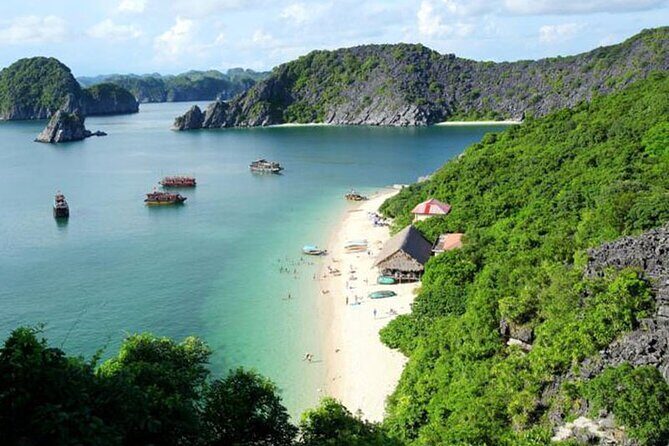 Athena Cruise Halong Bay 3Days 2Night on 5 Star Cruise - Who Should Consider This Cruise?