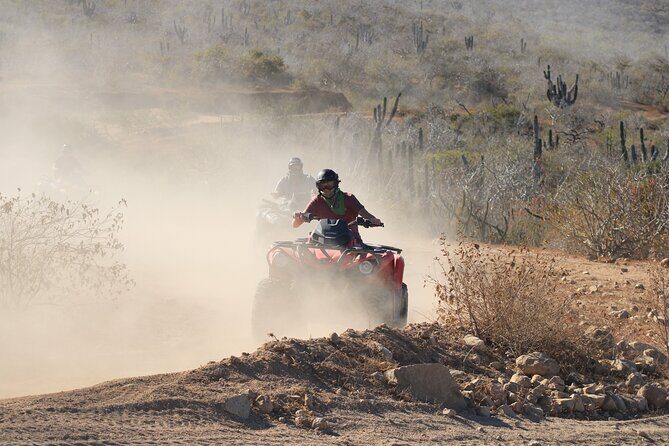 ATV and Camel Experience Los Cabos - An In-Depth Look at the ATV and Camel Experience