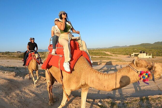 ATV and Camel Ride Combo Tour in Los Cabos - The Itinerary in Detail