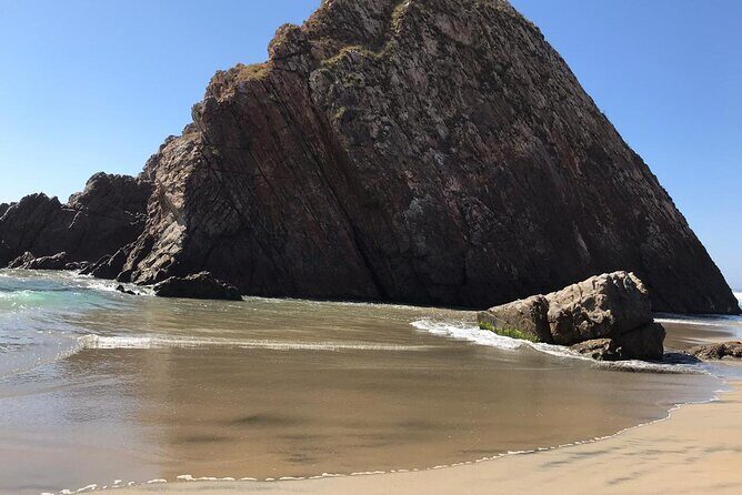 ATV Private Guided Tour in Manzanillo Mountains and Beaches - A Deep Dive into the ATV Guided Tour Experience