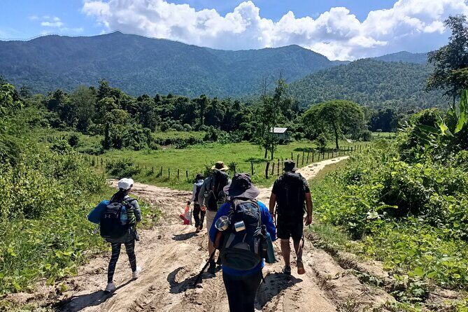 Aural Mountain Trek: Cambodia Tallest Peak Challenge - Exploring Cambodia’s Tallest Mountain: A Detailed Look