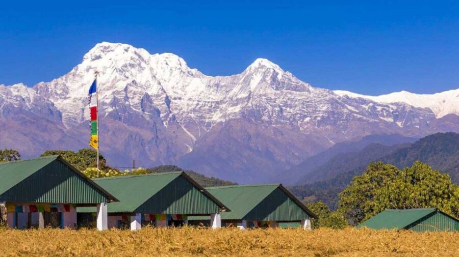 Australian Base Camp Day Hike From Pokhara - An In-Depth Review of the Australian Camp Day Hike