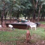 Australian Base, Long Tan & Nui Dat Tour with Vung Tau Beach - Final Thoughts