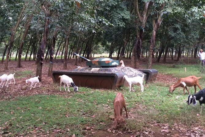 Australian Base, Long Tan & Nui Dat Tour with Vung Tau Beach - Final Thoughts