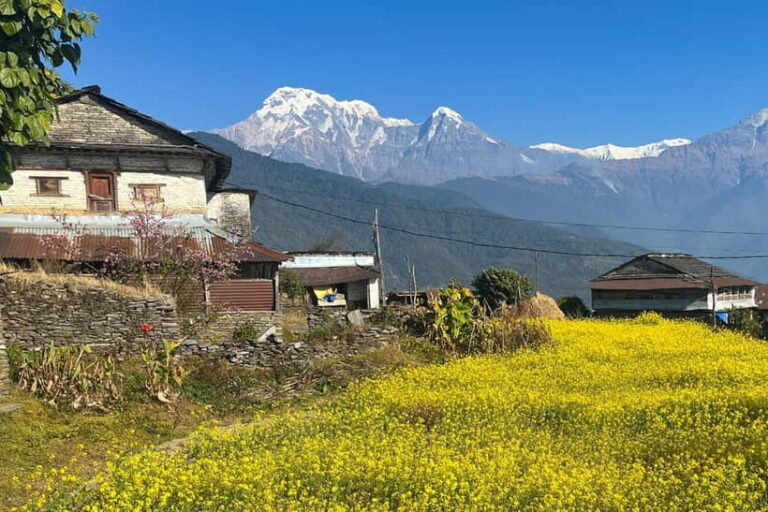 Australian Camp & Dhampus: 2-Day Private Trekking Tour - What Makes This Tour Stand Out?