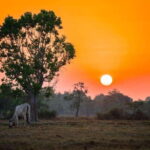 Authentic Siem Reap: Tuk Tuk Countryside and Sunset Tour - A Deep Dive into the Experience