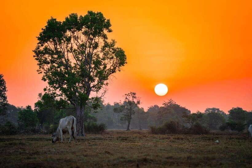 Authentic Siem Reap: Tuk Tuk Countryside and Sunset Tour - A Deep Dive into the Experience