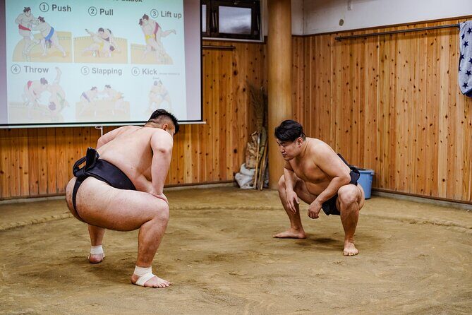 Authentic Sumo Experience in Tokyo : Enter the Sanctuary - The Full Scoop: An In-Depth Review