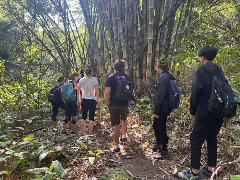 Authentic trek only walk in Chiang Rai jungle - Why This Tour Offers Great Value