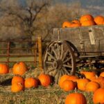 Autumn Romance Escape: A Nashville Couples' Getaway - A Detailed Walkthrough of the Tour