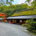 Avoid the Crowds at the Hidden Gems of Arashiyama in Kyoto - Why this Tour Is a Great Choice