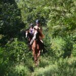 Award-winning Private Classic Horseback Ride - Final Thoughts