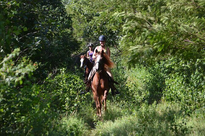 Award-winning Private Classic Horseback Ride - Final Thoughts