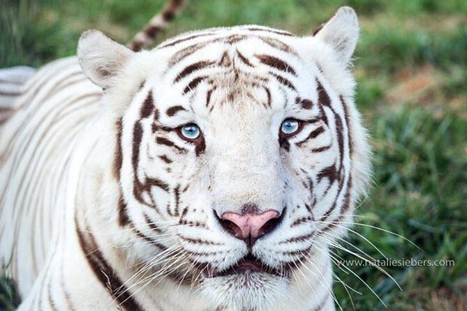 Awareness Tour - An In-Depth Look at the Awareness Tour Experience