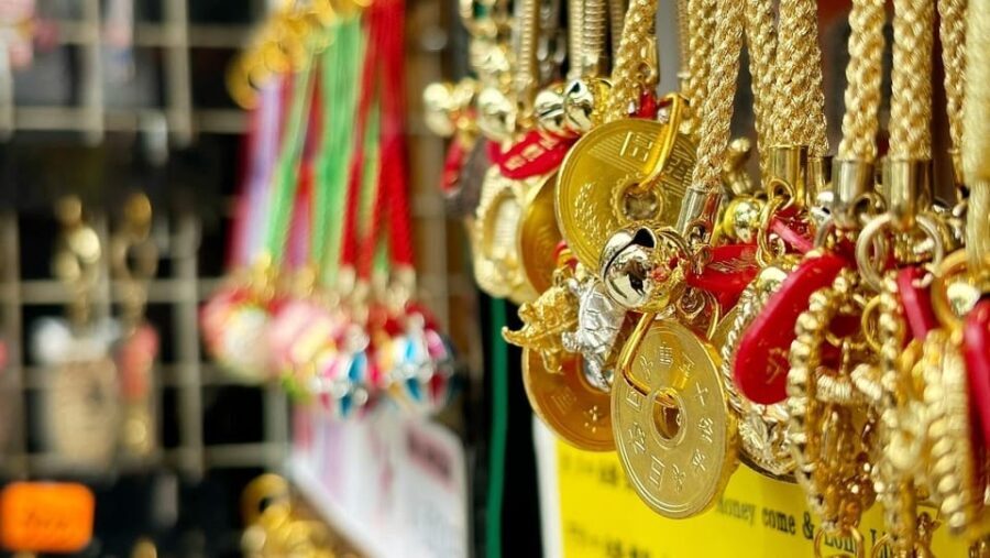 Awesome Private Tour: Tsukiji, Asakusa, Shinjuku, Shibuya - How It All Comes Together