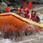 Ayung River Half-Day White Water Rafting Bali in Ubud - In-Depth Look at the Ayung River Rafting Experience