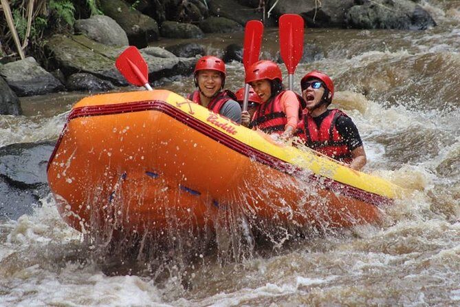 Ayung River Half-Day White Water Rafting Bali in Ubud - In-Depth Look at the Ayung River Rafting Experience