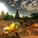 Ayutthaya Ancient City - A Deep Dive Into the Tour Experience